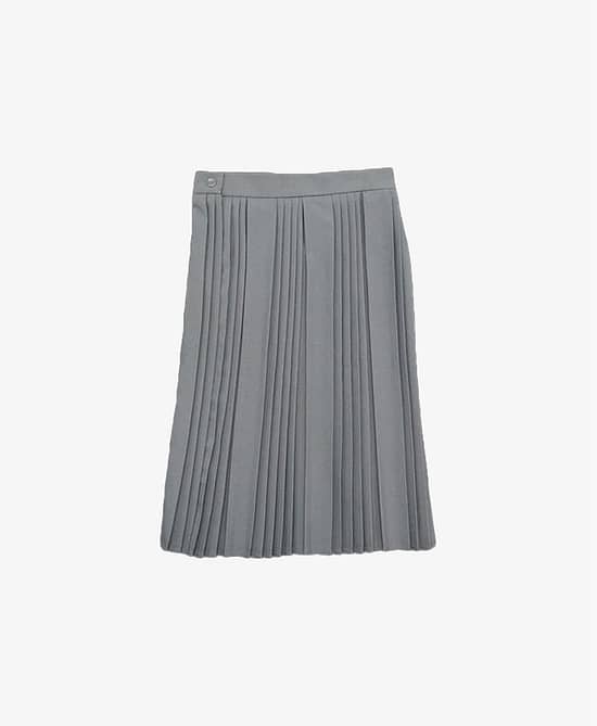 Pleated Skirts